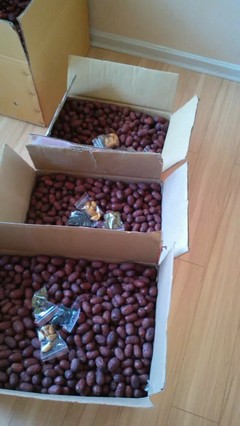 自家產(chǎn)新疆大棗，天然小棗，批發(fā)零售，品質(zhì)之選