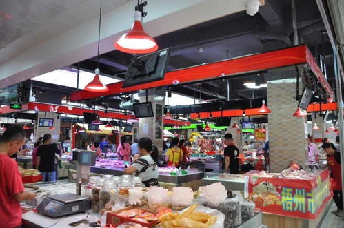 打造放心智慧“菜籃子” 新塘農(nóng)貿(mào)市場(chǎng)入選全國生鮮零售示范市場(chǎng)